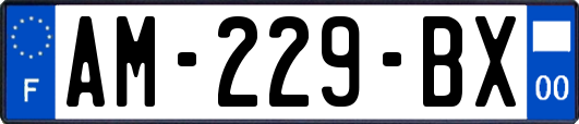 AM-229-BX