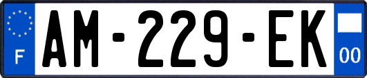 AM-229-EK