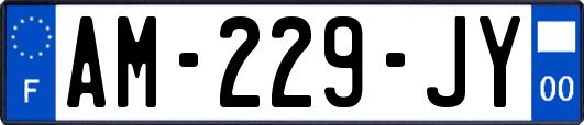 AM-229-JY