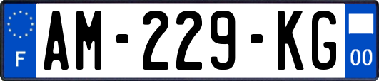 AM-229-KG