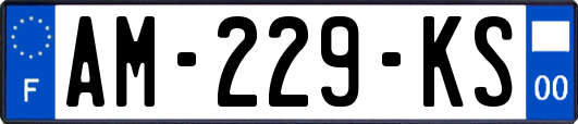 AM-229-KS