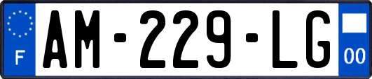 AM-229-LG