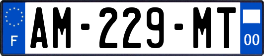 AM-229-MT