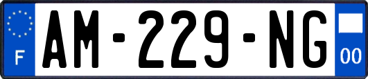 AM-229-NG