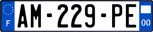AM-229-PE
