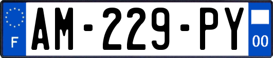 AM-229-PY