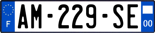 AM-229-SE