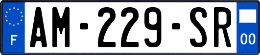 AM-229-SR