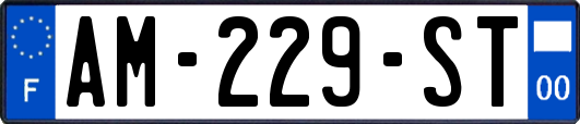 AM-229-ST
