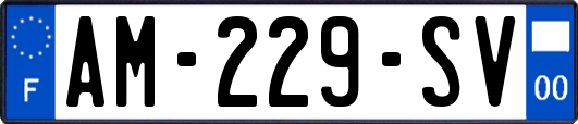 AM-229-SV
