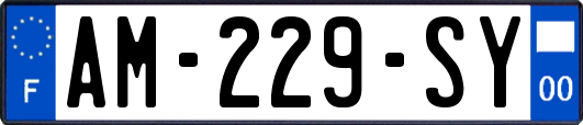 AM-229-SY
