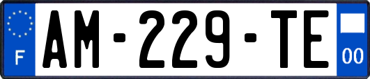 AM-229-TE