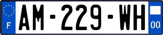 AM-229-WH