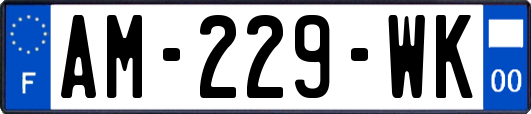 AM-229-WK
