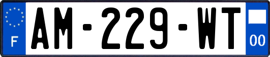AM-229-WT