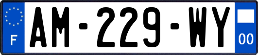 AM-229-WY