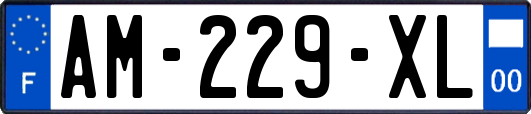 AM-229-XL