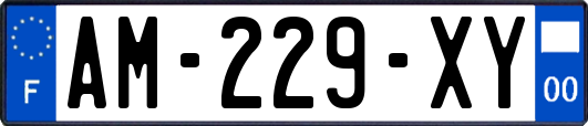 AM-229-XY