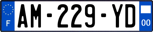 AM-229-YD