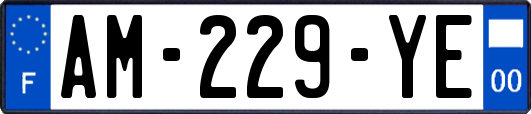 AM-229-YE
