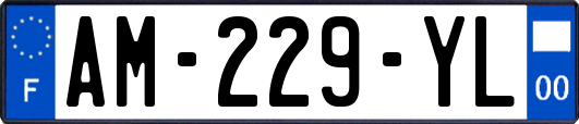 AM-229-YL