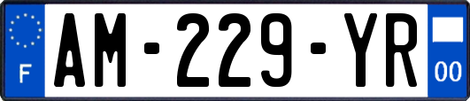 AM-229-YR