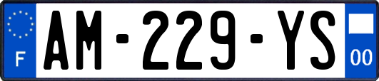 AM-229-YS
