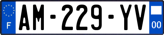 AM-229-YV