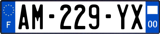 AM-229-YX