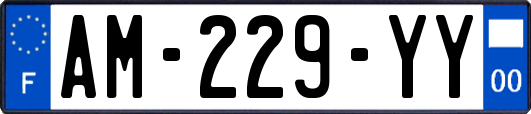 AM-229-YY