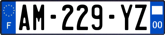 AM-229-YZ