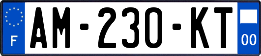 AM-230-KT