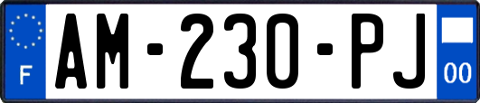 AM-230-PJ