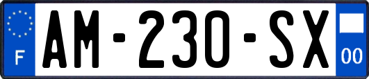 AM-230-SX