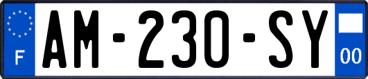 AM-230-SY