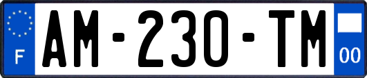 AM-230-TM