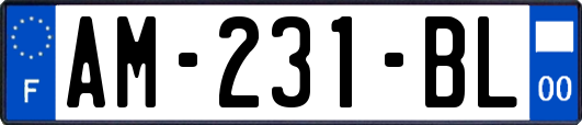 AM-231-BL