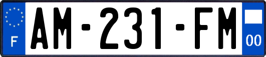 AM-231-FM