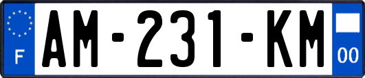 AM-231-KM