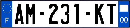 AM-231-KT