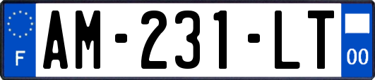 AM-231-LT
