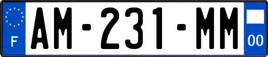 AM-231-MM