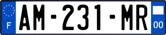AM-231-MR
