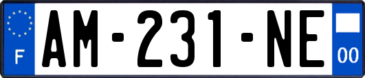 AM-231-NE