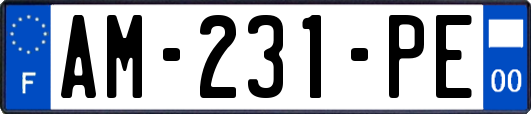 AM-231-PE