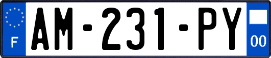 AM-231-PY