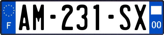 AM-231-SX