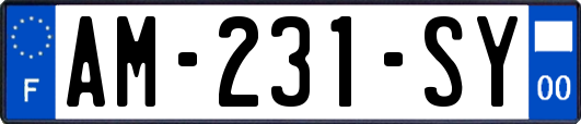 AM-231-SY