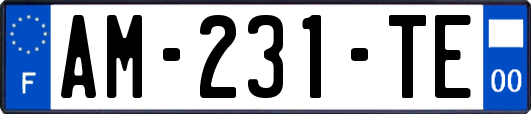 AM-231-TE