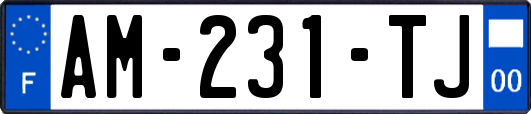 AM-231-TJ